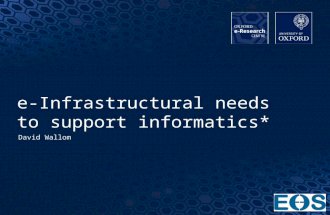 e-infrastructural needs to support informatics