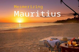 Mauritius Tour Guide by HolidayHops