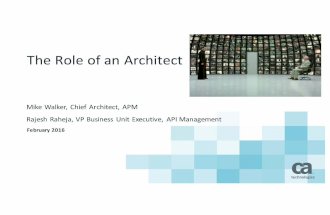 The Role of an Architect
