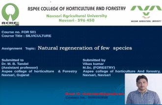 Natural Regeneration of few tree species