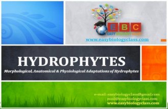 Ecological Adaptations of Hydrophytes PPT by Easybiologyclass