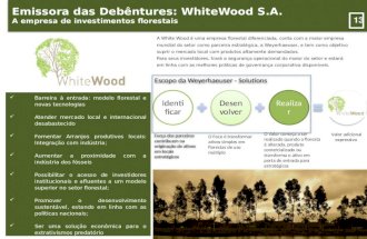 Christian de Almeida Rego Sustainable Biomass in Brazil