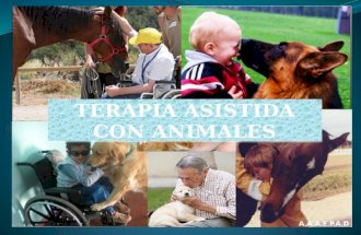 Terapia asistida con animales
