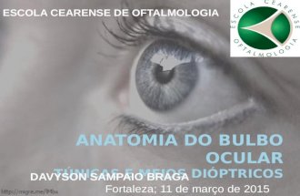 Anatomia do bulbo ocular