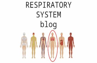 Blog respiration system