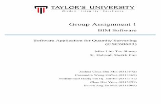 Software Application Group Assignment