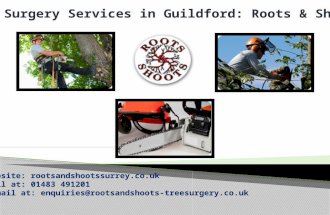 Tree surgery Service by Roots and Shoots Surgeon in guildford