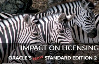 Oracle Standard Edition 2 Licence changes