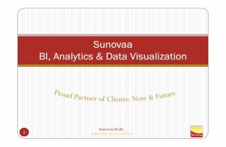 Sunovaa BI Analytics  Data Visualization Credentials