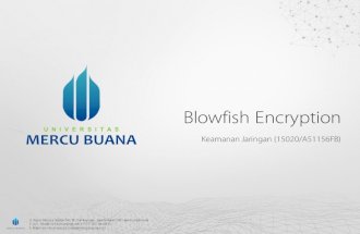 Blowfish Encryption