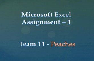 Microsoft Excel-  basics