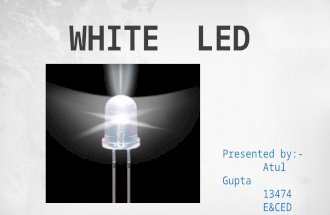 White led