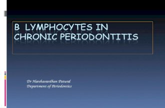 B  lymphocytes in chronic periodontitis- by Dr Harshavardhan Patwal