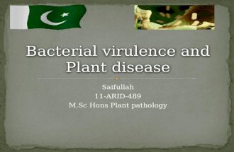 Bacterial virulence and Plant disease