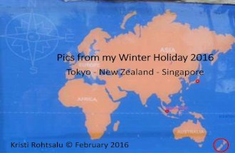 My Winter Holiday 2016: Tokyo - New Zealand - Singapore