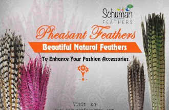 Pheasant Feathers for Enhancing Fashion Accessories