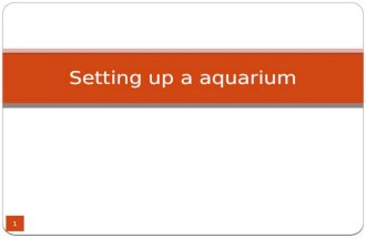 Setting up a aquarium
