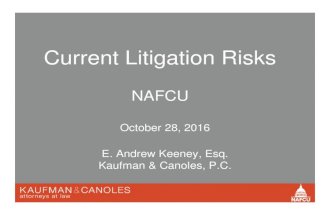 NAFCU - Current Litigation Risks
