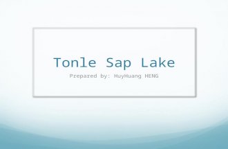 Tonle Sap Lake  - Strengths and Threats