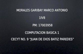 MORALES GARIBAY MARCO ANTONIO