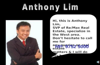 Anthony Lim portfolio