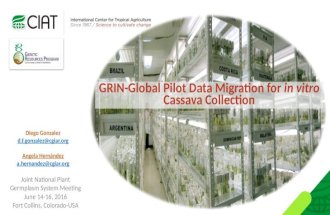 GRIN global pilot data migration for in vitro cassava collection at CIAT