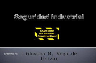 Seguridad industrial - Liduvina Vega