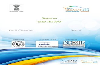 Vibrant Gujarat - India Tex 2013