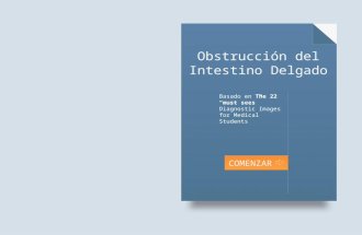 9  Obstruccion del Intestino Delgado