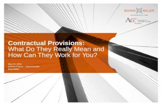 Contractual Provisions: What Do They Really Mean and How Can They Work for You?