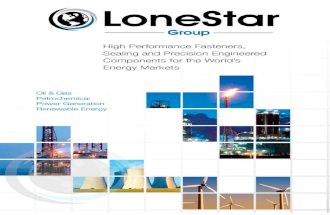 LoneStar Group Brochure PDF