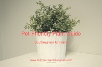 Southeastern Growers: Pet-Friendly Plant Guide