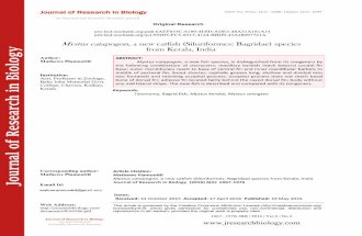 25. 5. 16.         mystus catapogon, new species - article published
