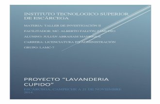 257844963 proyecto-lavanderia-cupido