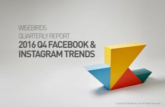 2016 Q4 Facebook & Instagram trends
