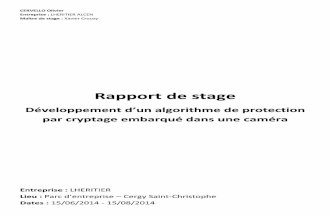 CERVELLO_Rapport de stage