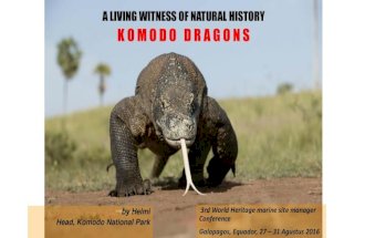 Helmi, Komodo Dragon, National Park Indonesia,   Presentation, Galapagos Equador, 27-31 Agustus 2016