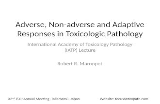 Adverse, Non-adverse and Adaptive Responses in Toxicologic Pathology-JSTP