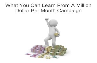 What I Learned From a Million Dollar Per Month Campaign
