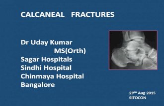 Calcaneal fractures --sito--29th aug 2015