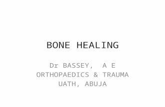 Bone healing