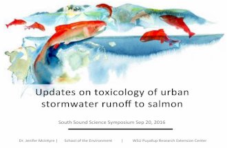 Jen McIntyre, New science documenting toxic impacts on salmon and other aquatic species