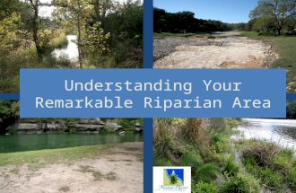 Understanding Your Remarkable Riparian Area