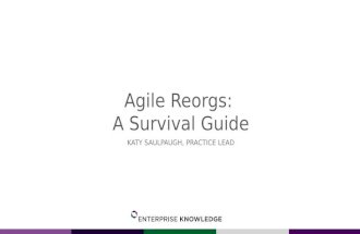 Agile Reorgs: A Survival Guide