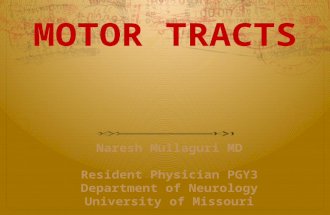 Motor tracts