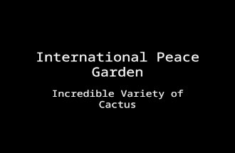 International peace garden cactus collection