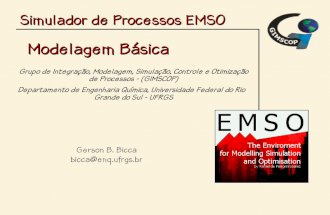 Simulador de Processos EMSO