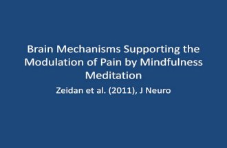 Brain Mechanisms, Pain Modulation, & Mindfulness Meditation