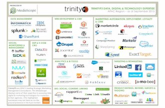 TrinityP3 Consultant Marketing Tools and AdTech Expertise - MediaScapes
