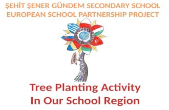 Tree Planting Activity In Our School Region